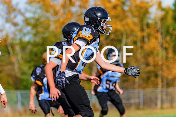 FBall-8584