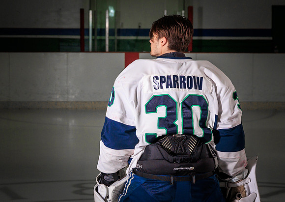 Sparrow-6793