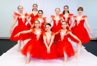 Ballet Ind-5260
