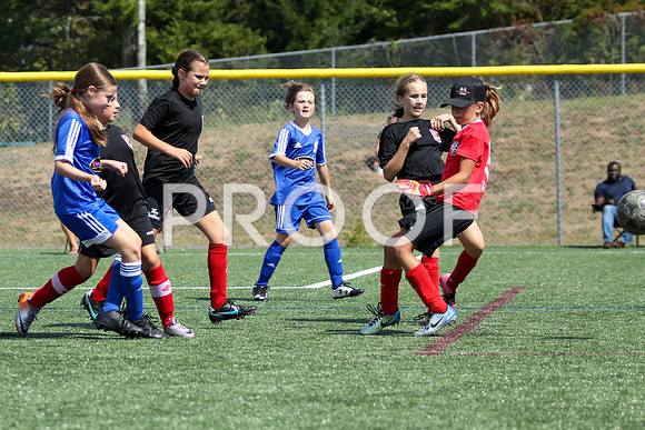 U12 Girls Fundy -9258