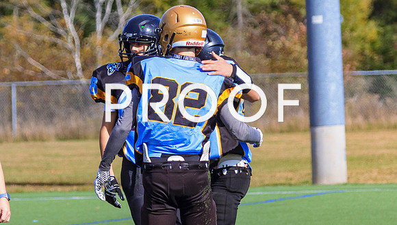 FBall-8252