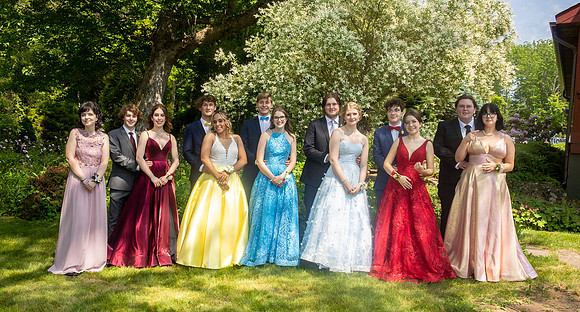 Prom-9785
