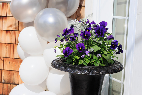 promday-3646