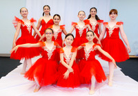 Ballet Ind-5263