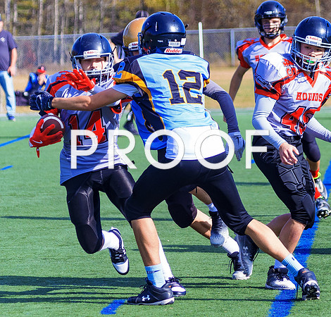 FBall-8280