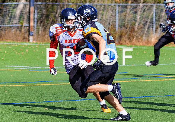 FBall-8256