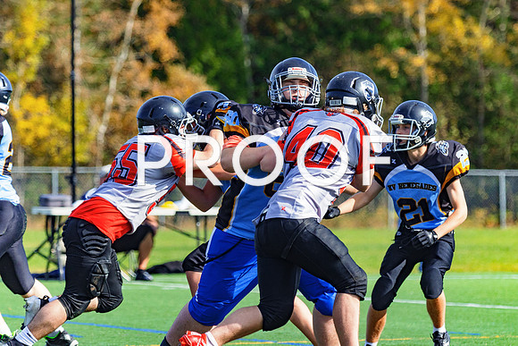 FBall-8246