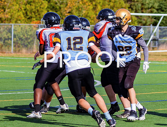 FBall-8323