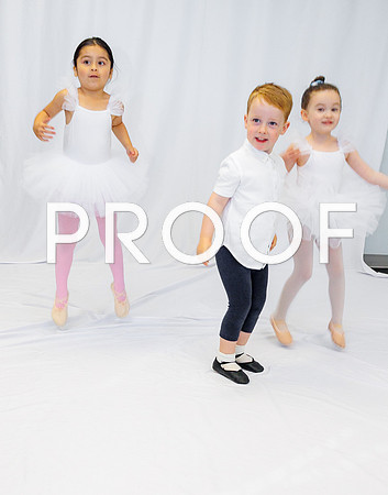 Ballet Ind-5206