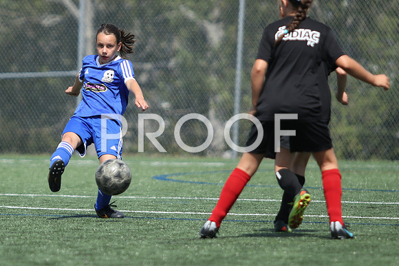 U12 Girls Fundy -9264