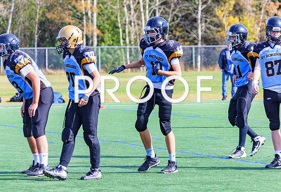 FBall-8285