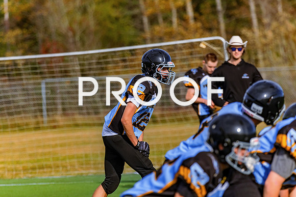FBall-8615