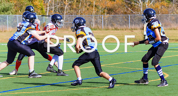 FBall-8254