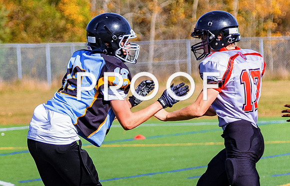 FBall-8315