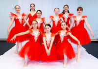 Ballet Ind-5257