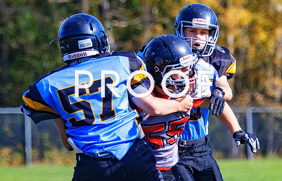 FBall-8247
