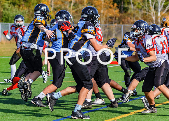 FBall-8378