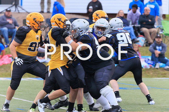 KVHSvFHS-4369