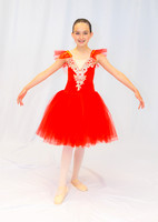 Ballet Ind-5324