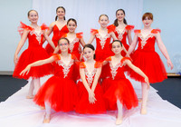 Ballet Ind-5258