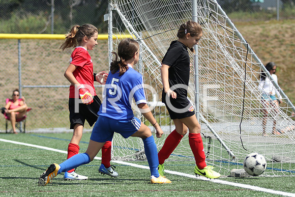 U12 Girls Fundy -9287