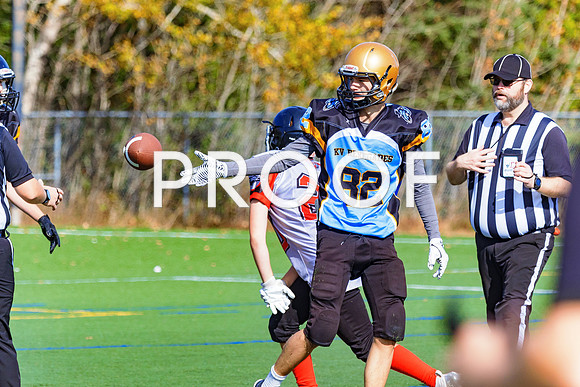 FBall-8250