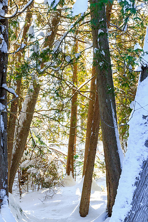 untitled-9773