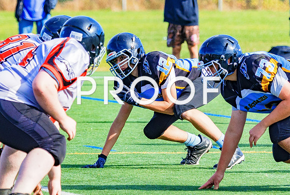FBall-8291