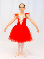 Ballet Ind-5319