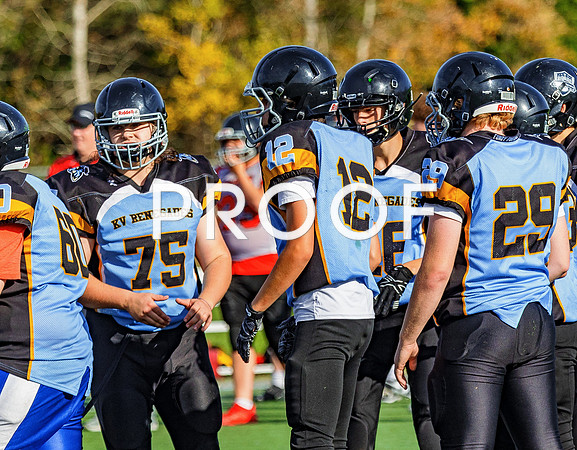 FBall-8480