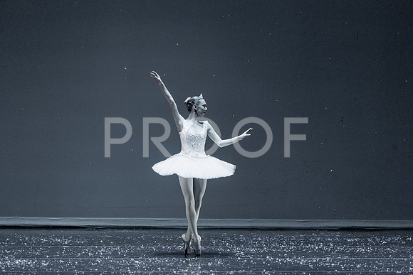 Nutcracker24-0237