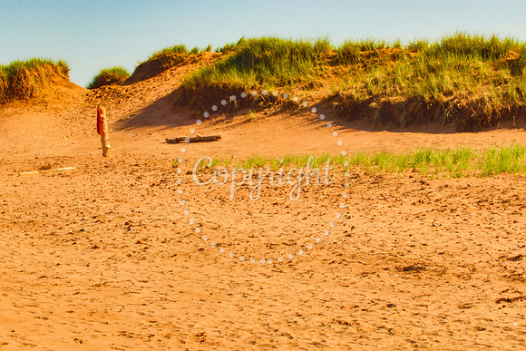 beach-1872