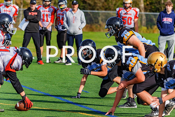 FBall-8520