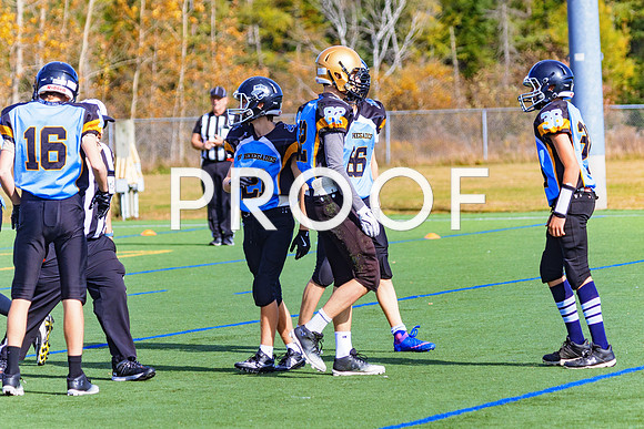 FBall-8251