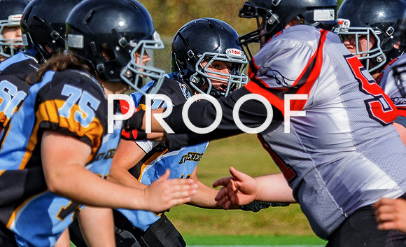 FBall-8576