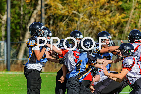 FBall-8416