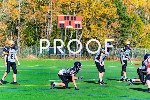 FBall-8320