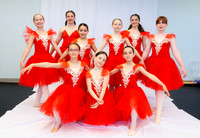 Ballet Ind-5265