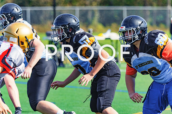 FBall-8242