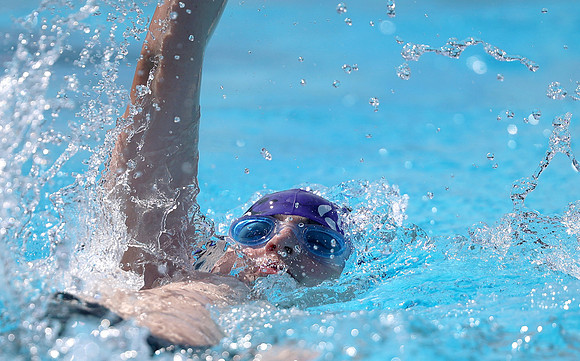 Swim 24
