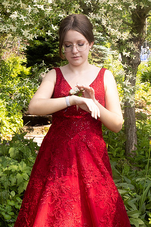Prom-9828