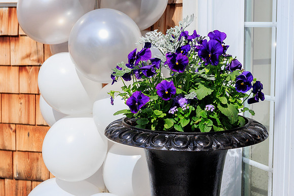promday-3645