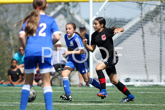 U12 Girls Fundy -9252