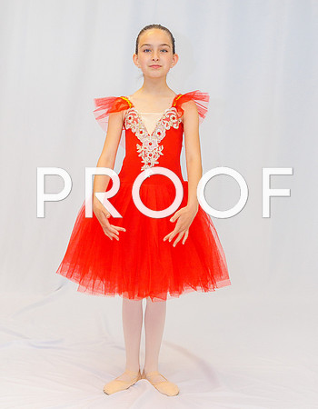 Ballet Ind-5315