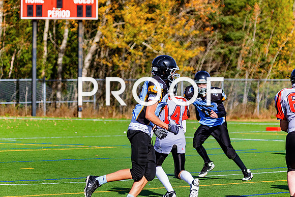 FBall-8321