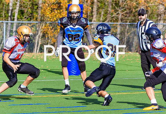 FBall-8258