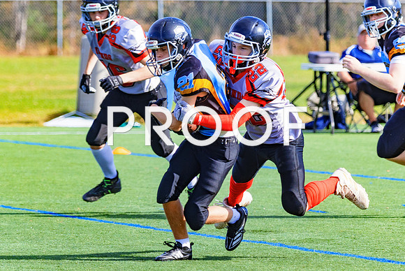FBall-8240