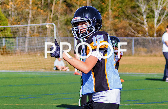 FBall-8481