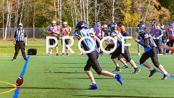 FBall-8229