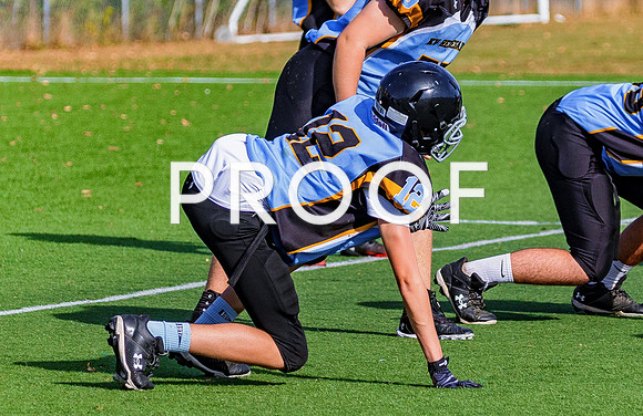 FBall-8376